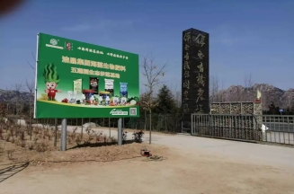 山东古天乐太阳集团城总裁、市人大代表林成彬建言日照茶产业提质增效