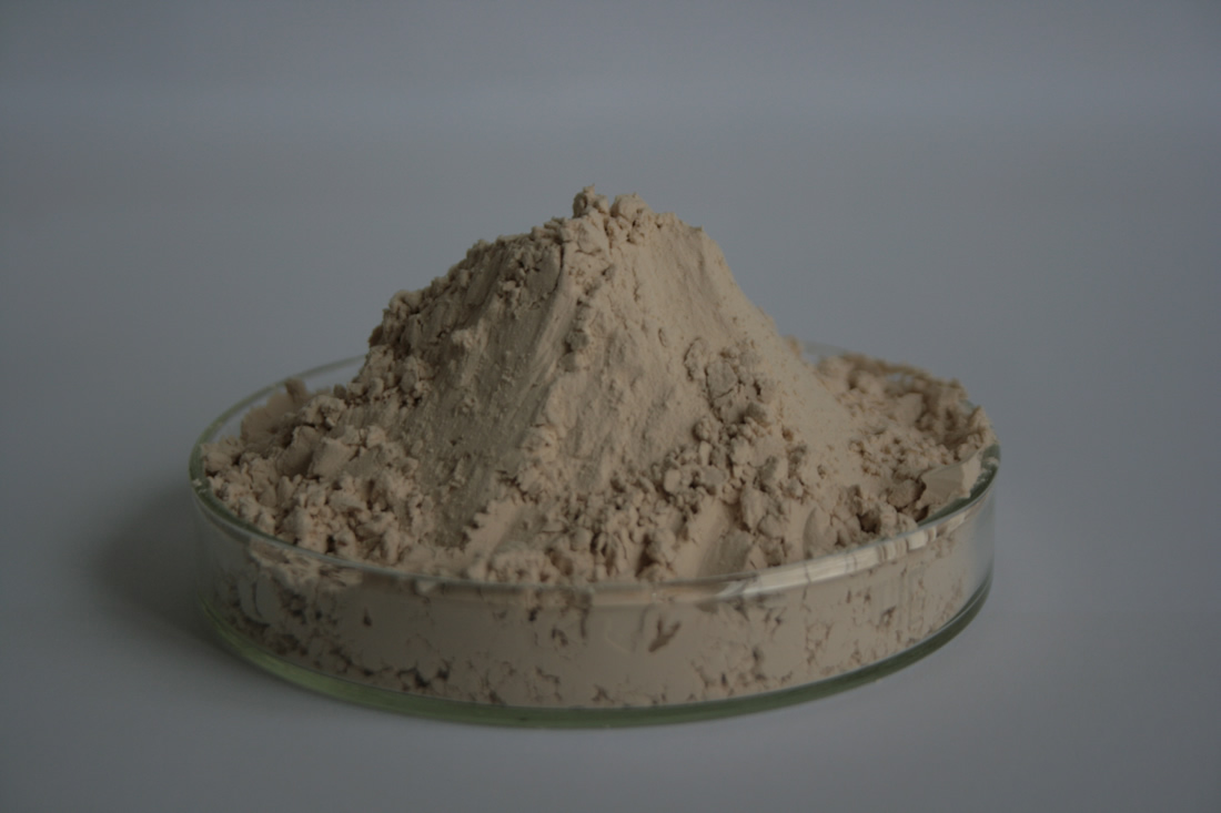 岩藻多糖 岩藻多糖